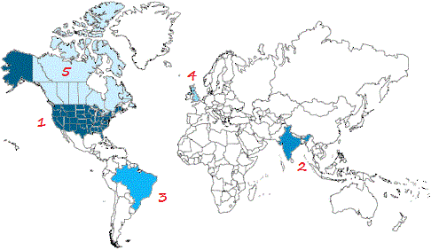 Top 5 countries using Google+