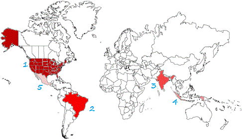 Top 5 countries using Facebook