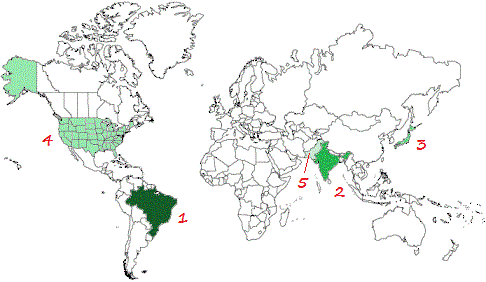 Top 5 countries using Orkut